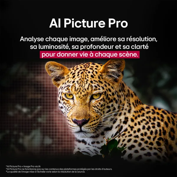 HDR et contraste OLED LG C5